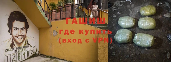 хмурый Абаза