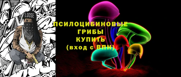 МДПВ Алексин